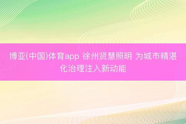 博亚(中国)体育app 徐州贤慧照明 为城市精湛化治理注入新动能