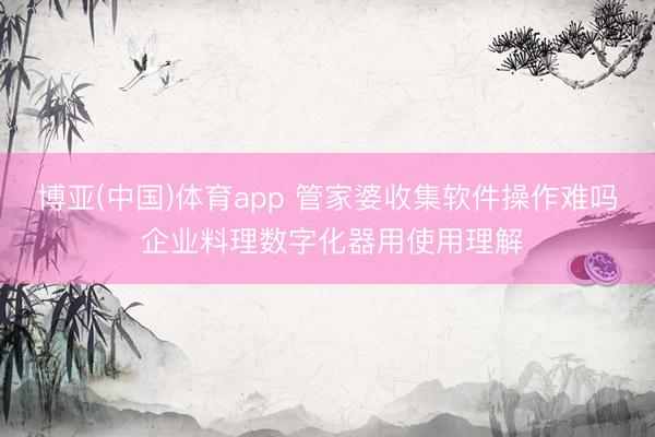 博亚(中国)体育app 管家婆收集软件操作难吗 企业料理数字化器用使用理解