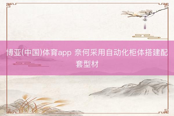 博亚(中国)体育app 奈何采用自动化柜体搭建配套型材