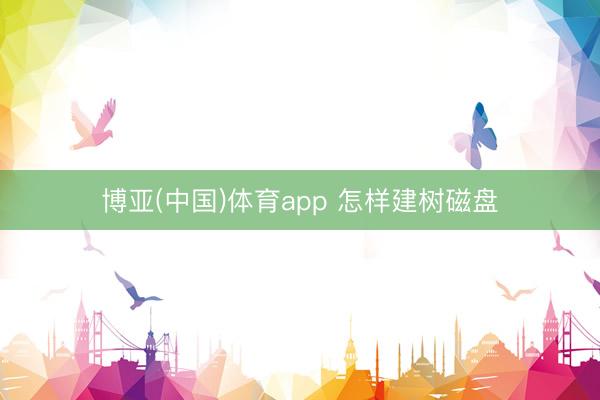 博亚(中国)体育app 怎样建树磁盘