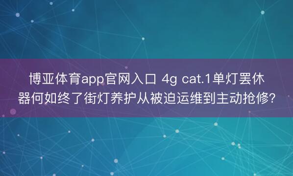 博亚体育app官网入口 4g cat.1单灯罢休器何如终了街灯养护从被迫运维到主动抢修？
