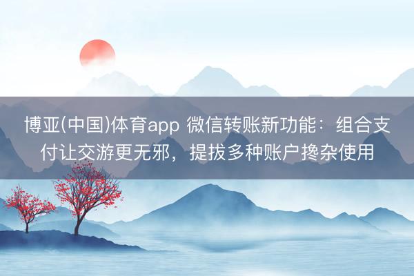 博亚(中国)体育app 微信转账新功能：组合支付让交游更无邪，提拔多种账户搀杂使用