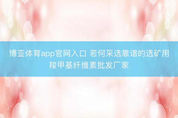 博亚体育app官网入口 若何采选靠谱的选矿用羧甲基纤维素批发厂家