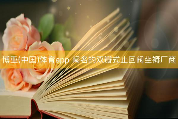博亚(中国)体育app 闻名的双瓣式止回阀坐褥厂商