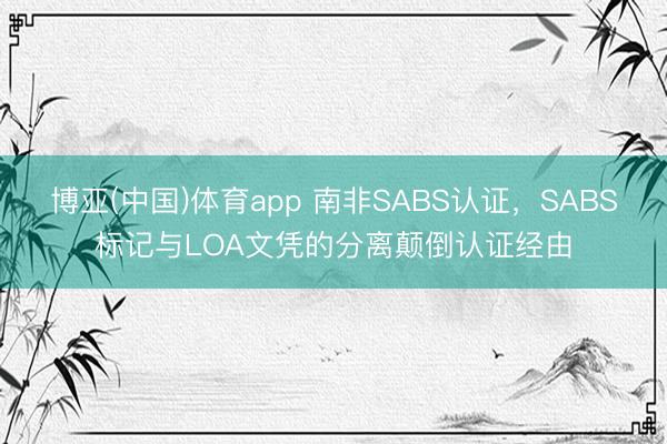 博亚(中国)体育app 南非SABS认证，SABS标记与LOA文凭的分离颠倒认证经由