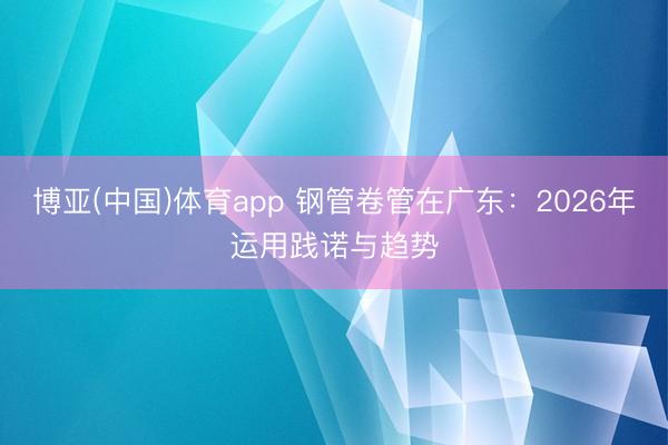 博亚(中国)体育app 钢管卷管在广东：2026年运用践诺与趋势