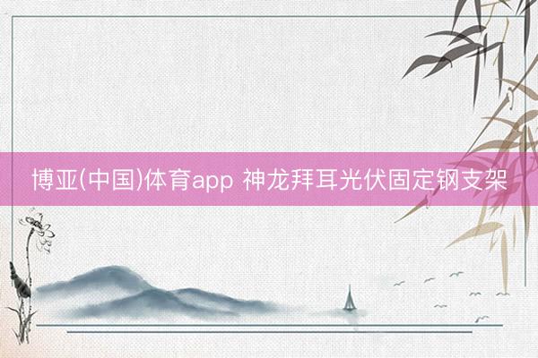 博亚(中国)体育app 神龙拜耳光伏固定钢支架