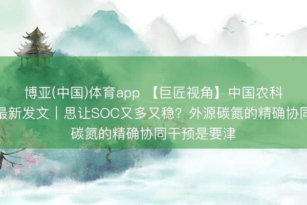 博亚(中国)体育app 【巨匠视角】中国农科院李虎团队最新发文｜思让SOC又多又稳？外源碳氮的精确协同干预是要津