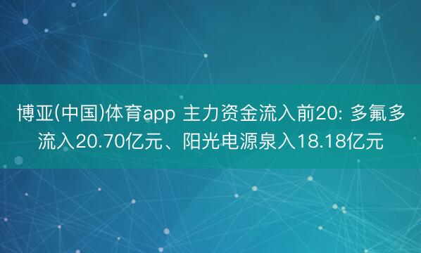 博亚(中国)体育app 主力资金流入前20: 多氟多流入20.70亿元、阳光电源泉入18.18亿元