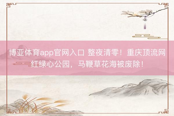 博亚体育app官网入口 整夜清零！重庆顶流网红绿心公园，马鞭草花海被废除！