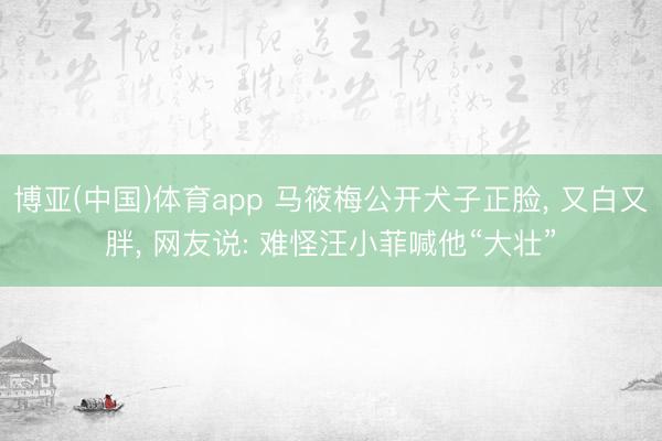 博亚(中国)体育app 马筱梅公开犬子正脸， 又白又胖， 网友说: 难怪汪小菲喊他“大壮”