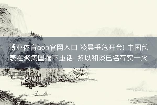 博亚体育app官网入口 凌晨垂危开会! 中国代表在聚集国撂下重话: 黎以和谈已名存实一火