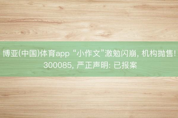 博亚(中国)体育app “小作文”激勉闪崩, 机构抛售! 300085, 严正声明: 已报案