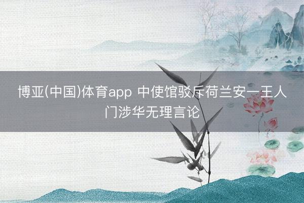 博亚(中国)体育app 中使馆驳斥荷兰安一王人门涉华无理言论