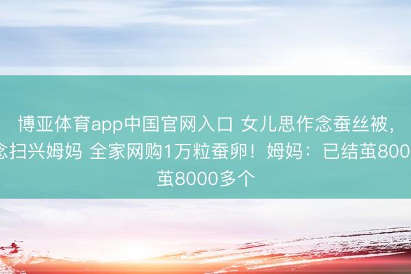 博亚体育app中国官网入口 女儿思作念蚕丝被，不作念扫兴姆妈 全家网购1万粒蚕卵！姆妈：已结茧8000多个