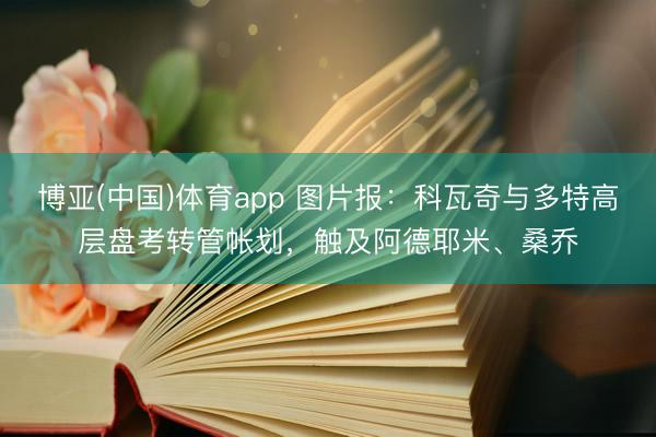 博亚(中国)体育app 图片报：科瓦奇与多特高层盘考转管帐划，触及阿德耶米、桑乔